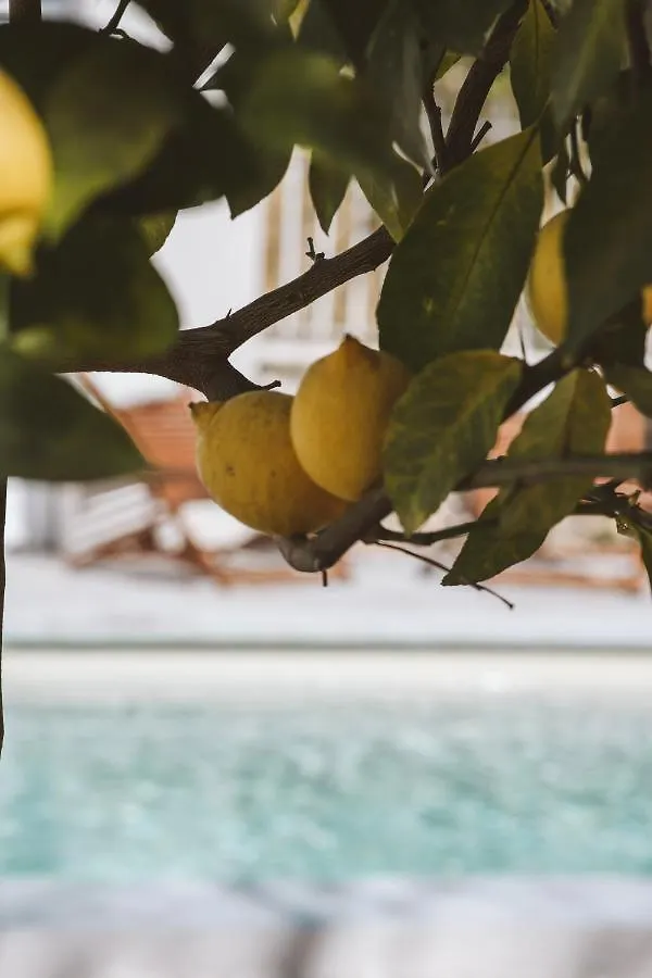 Hotel Le Sud Juan-les-Pins